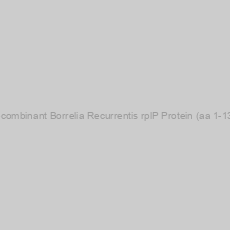 Image of Recombinant Borrelia Recurrentis rplP Protein (aa 1-138)